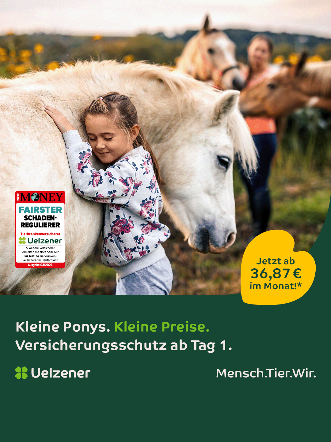 Uelzener Versicherungen Facebook ad: Schutz für dein Pferd