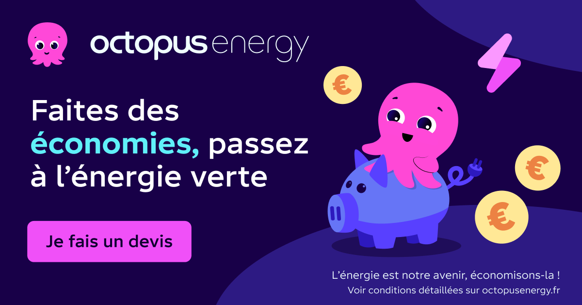 Octopus Energy Facebook ad