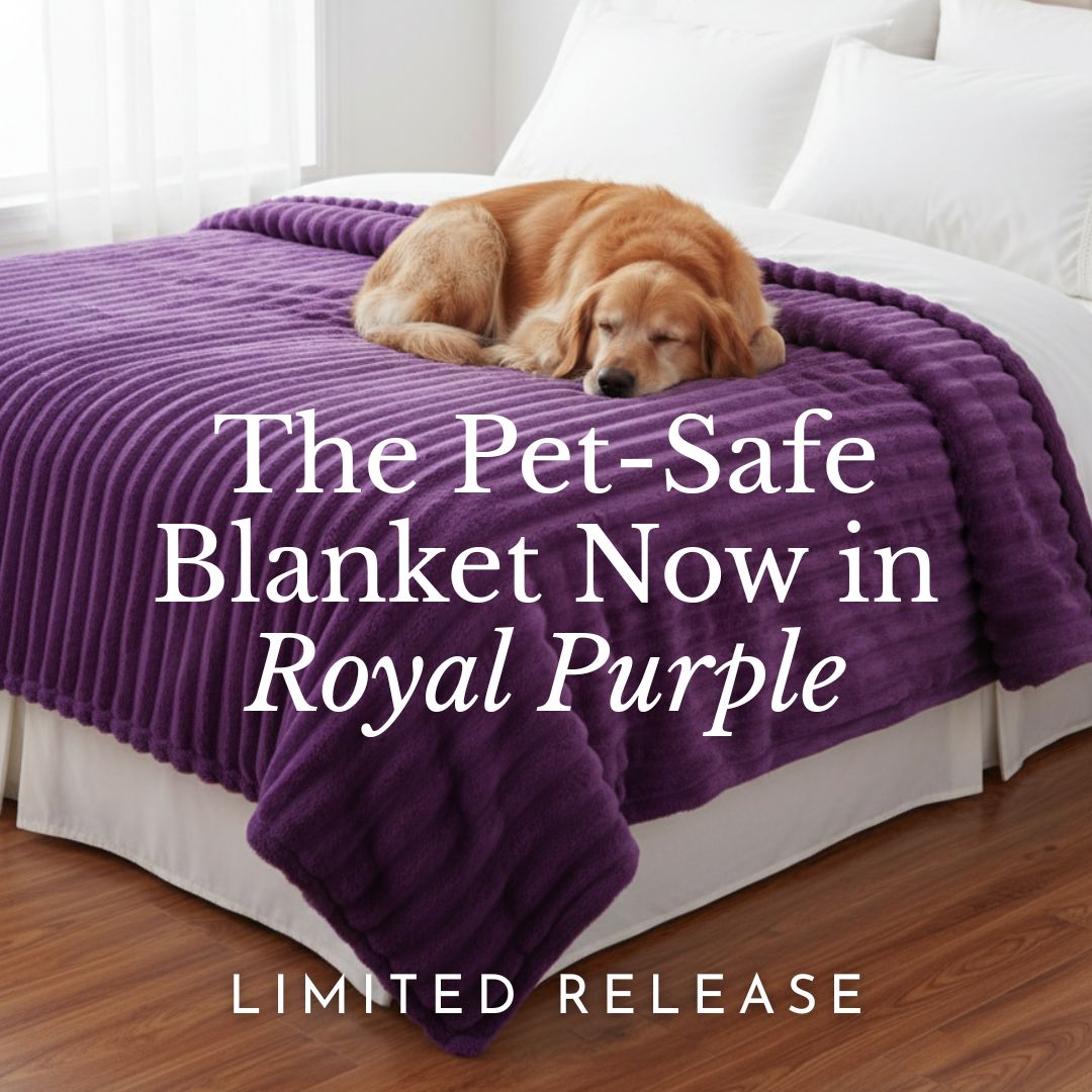 The Fleece Blanket Facebook ad