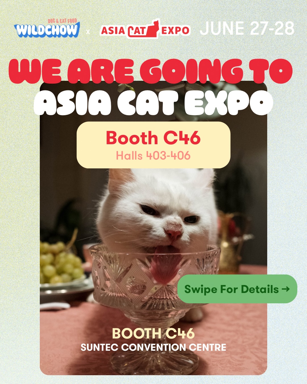 WildChow Pet Facebook ad