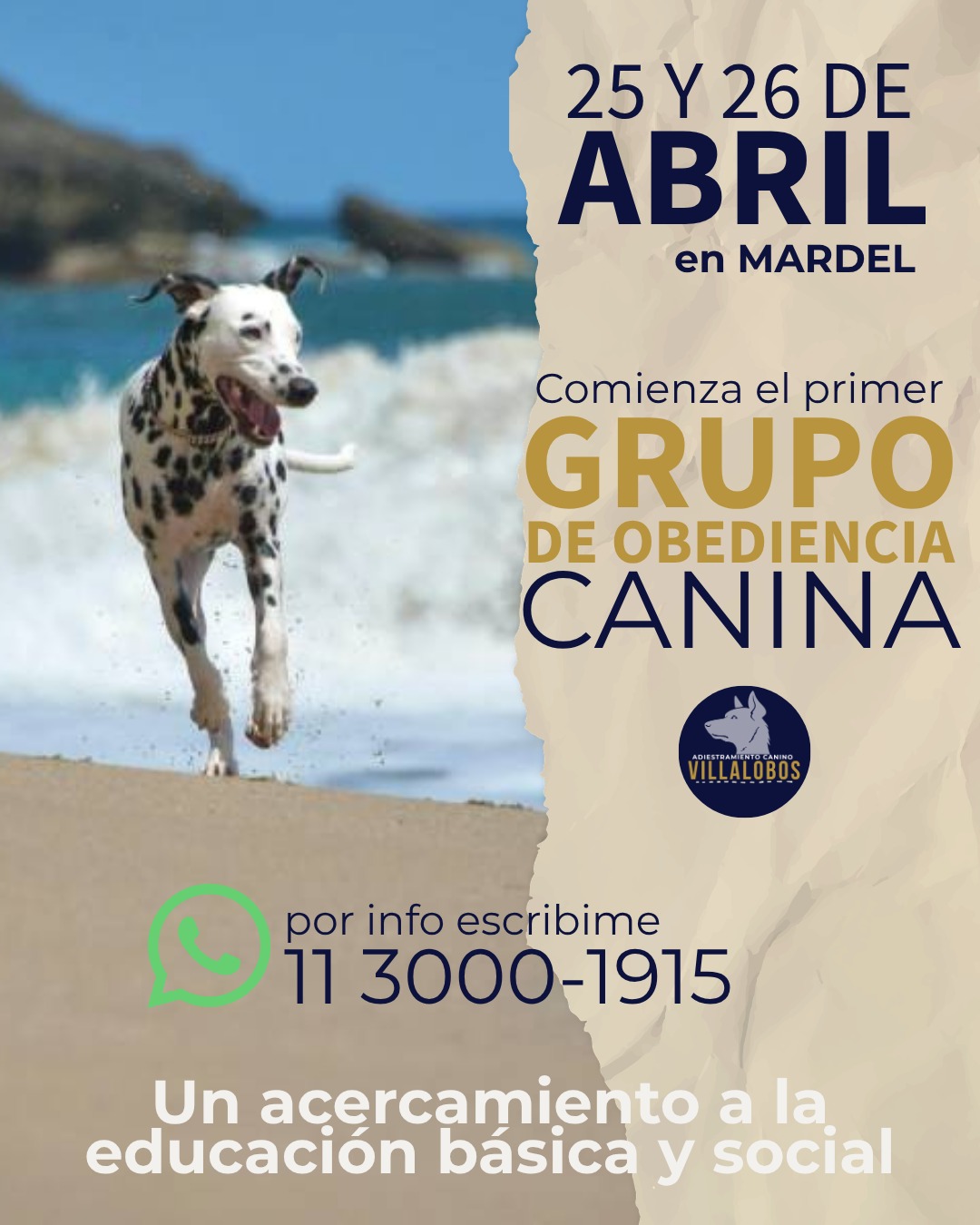 Villalobos Adiestramiento Canino Facebook ad: Instagram