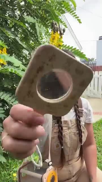 Yqyworkshop Facebook ad: Wooden Insect Catching Kit
