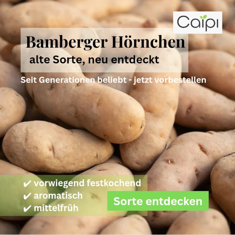 Caipi GmbH Facebook ad