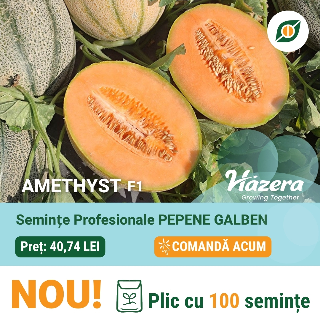 Adrisem Facebook ad: Descoperă semințele profesionale de pepene verde și galben…