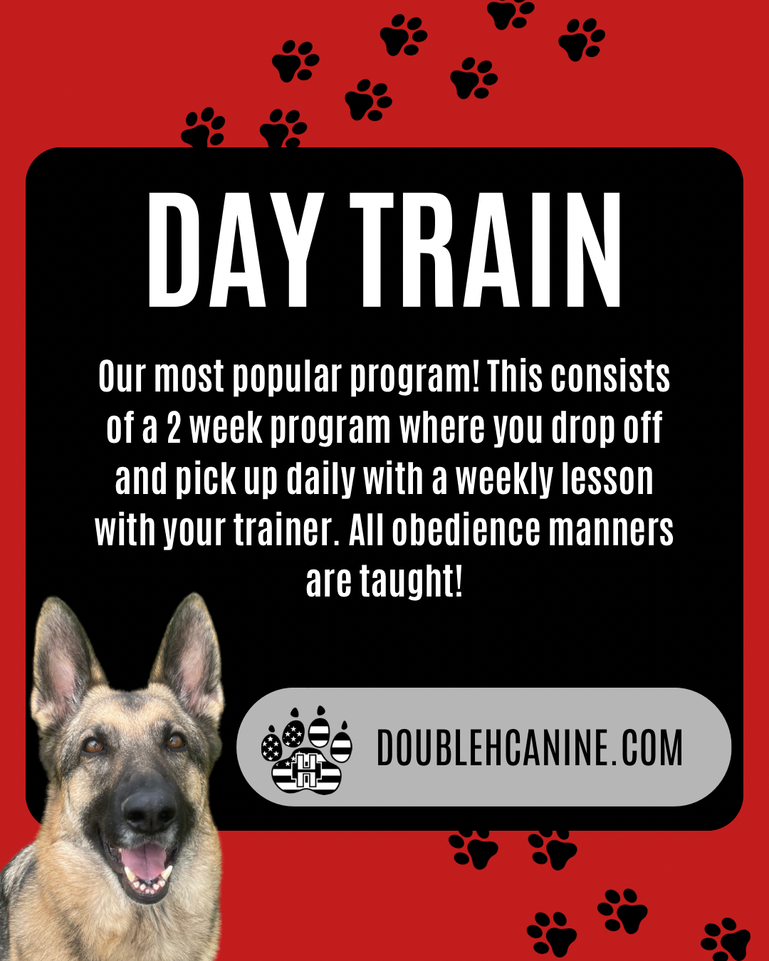 Double H Canine Training Academy Facebook ad