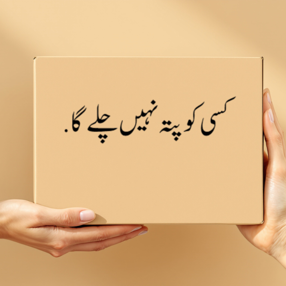 E-Pal E-Com Store Facebook ad: Is box mein kya hai?