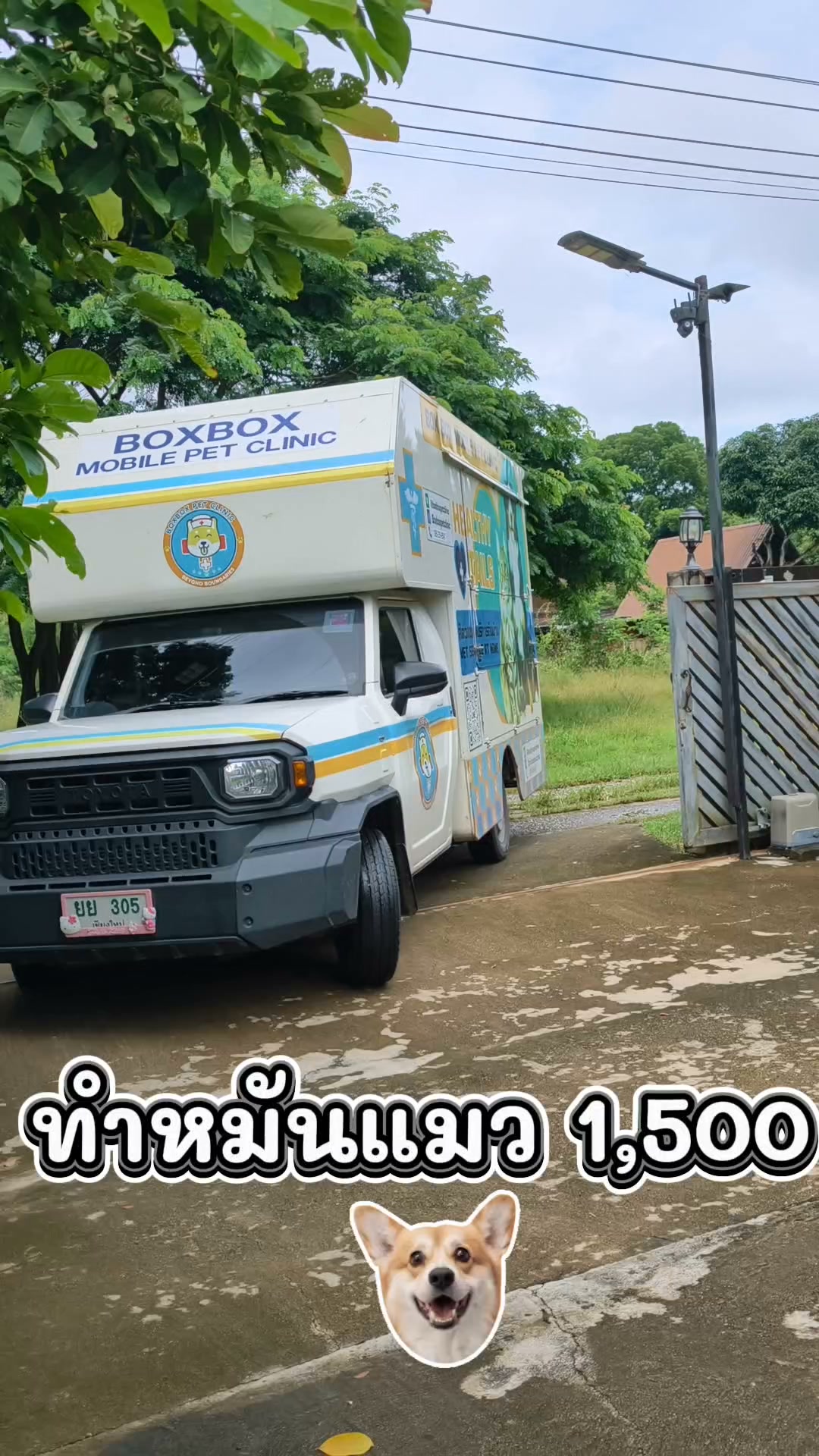 Box Box Pet Clinic Facebook ad: บริการทำหมันแมว (เพศผู้/เพศเมีย)