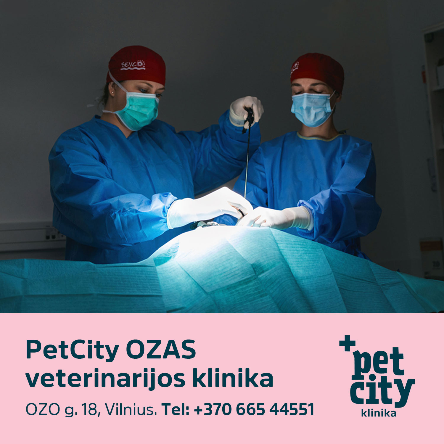PetCity Lietuva Facebook ad