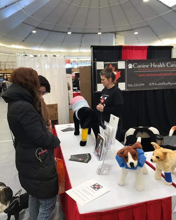 Canine Health Canada Facebook ad: Are you the perfect fit for our team…
