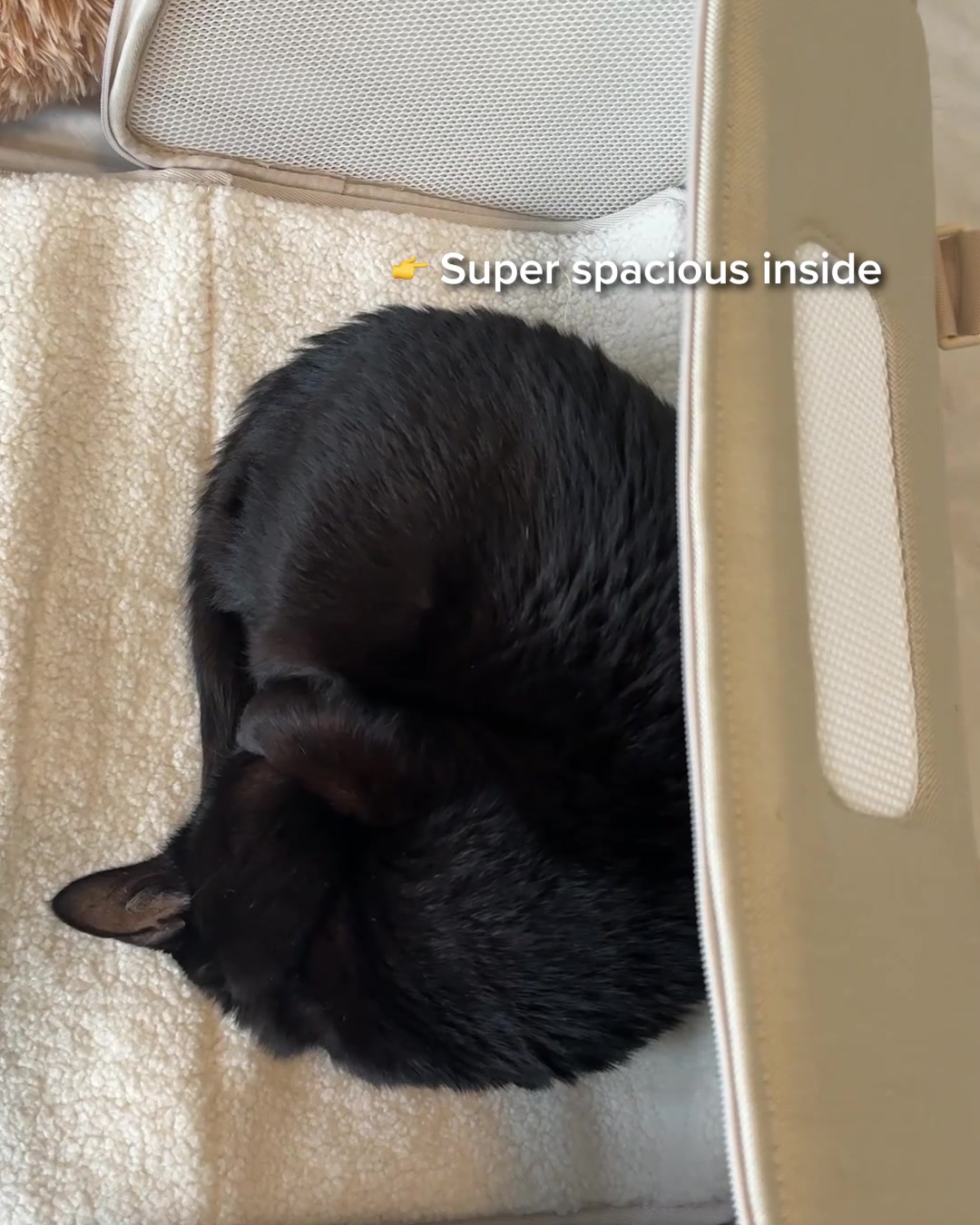 Tuft & Paw Facebook ad: Designer Cat Carrier