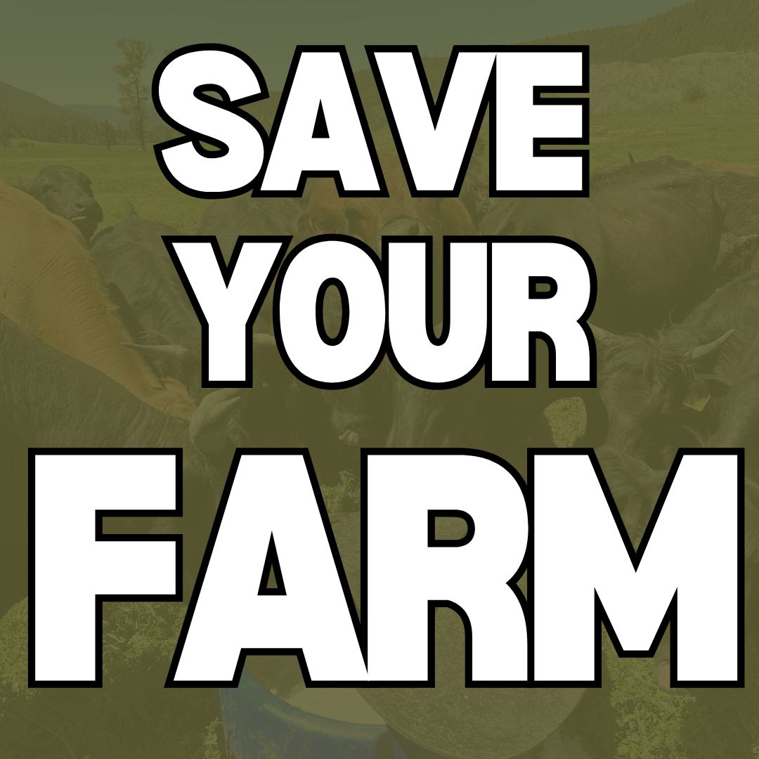 Sell Beef Direct Facebook ad