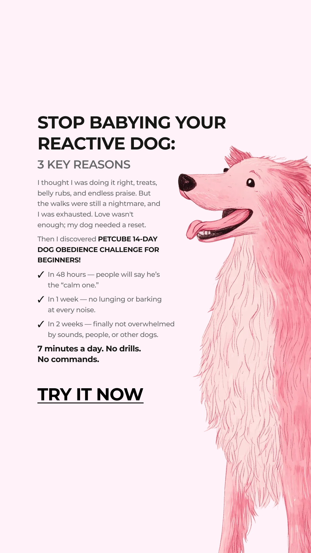 Petcube Facebook ad
