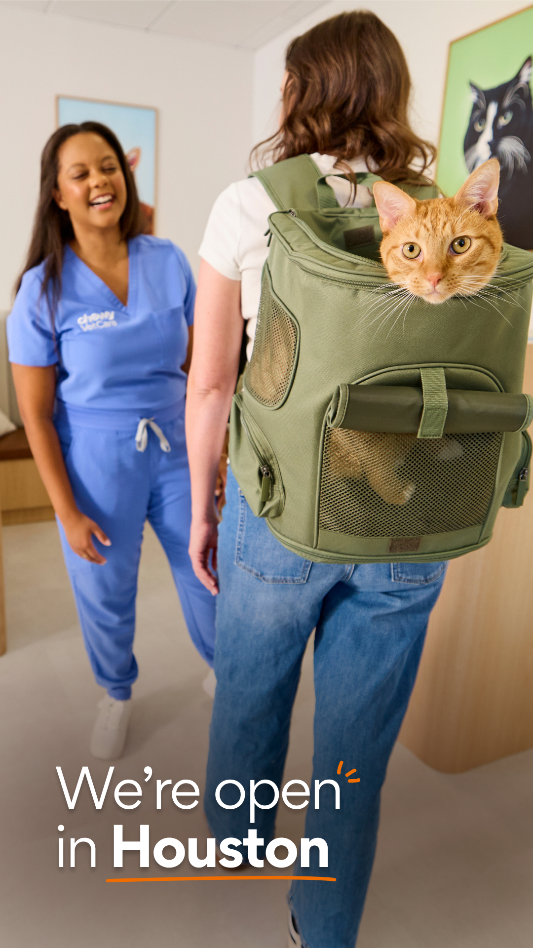 Chewy Vet Care Facebook ad
