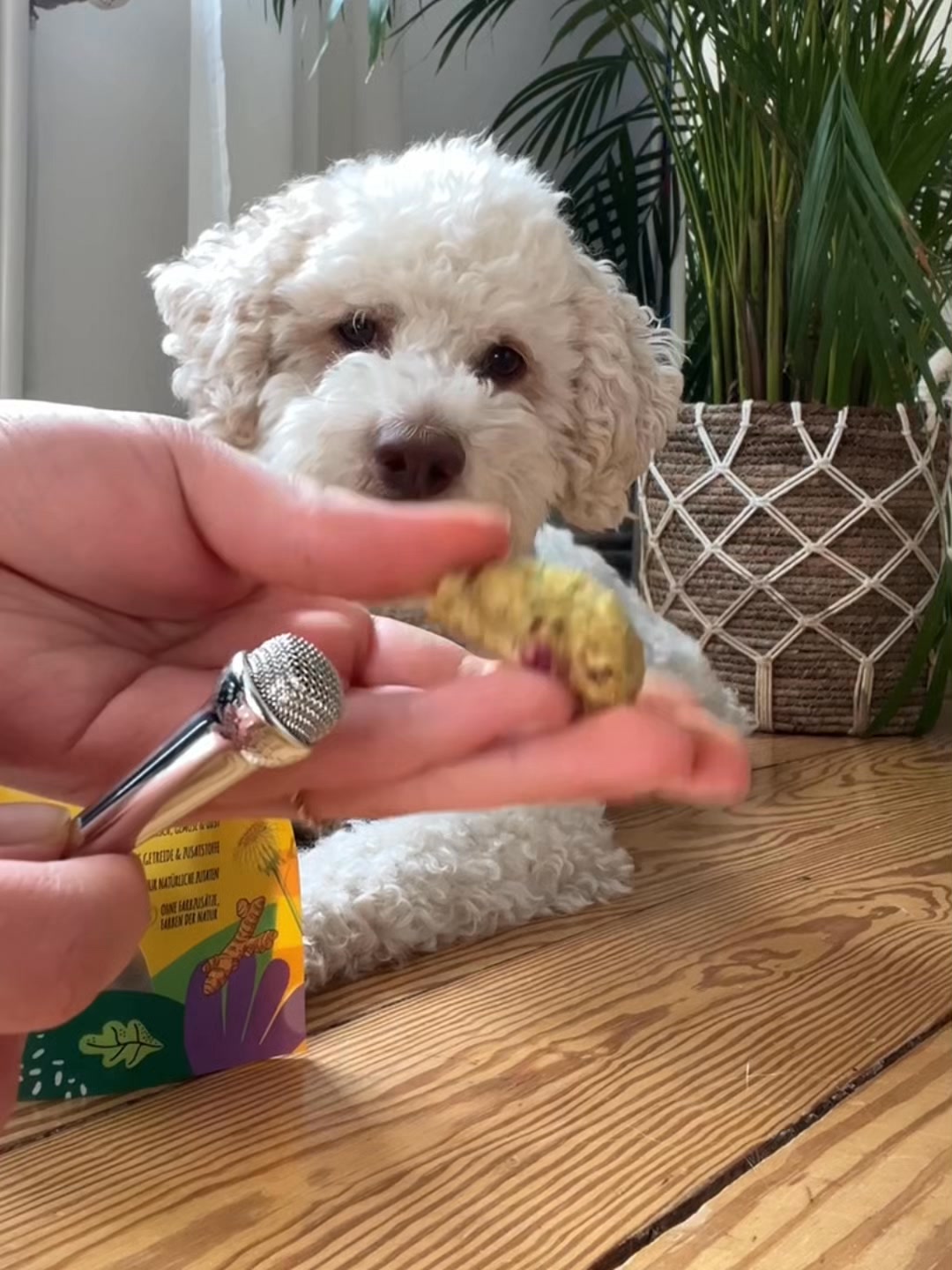 SmoothieDog Facebook ad: Premium-Snack mit Rind