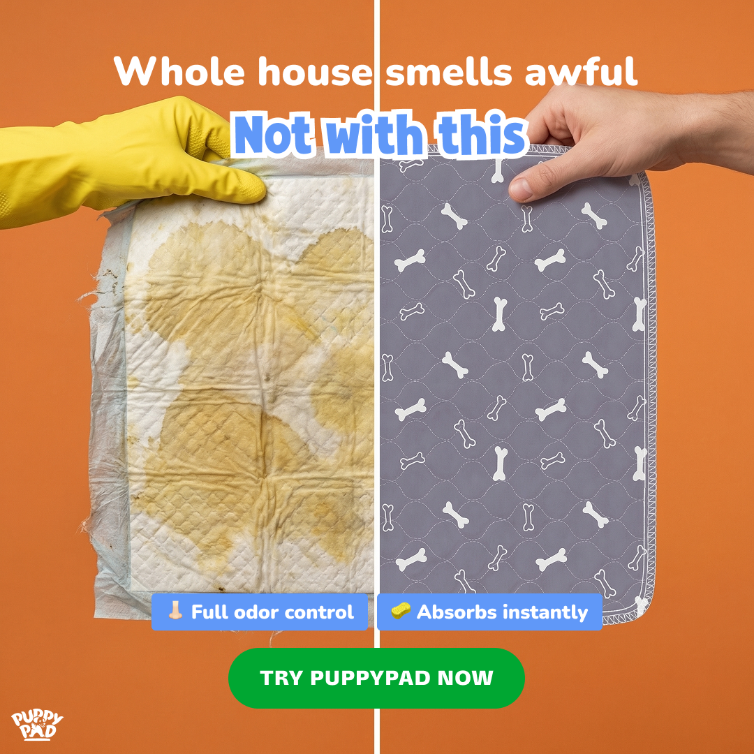 PuppyPad Facebook ad