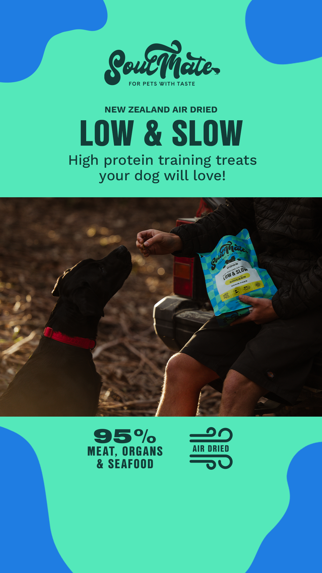 Petstock Facebook ad