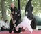 Lehigh Valley Samurai Academy