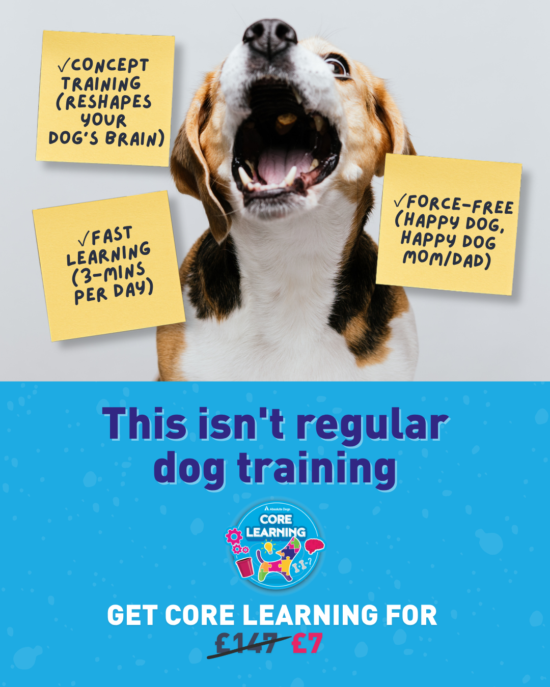 absoluteDOGS Facebook ad