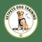 VetPets Dog Training