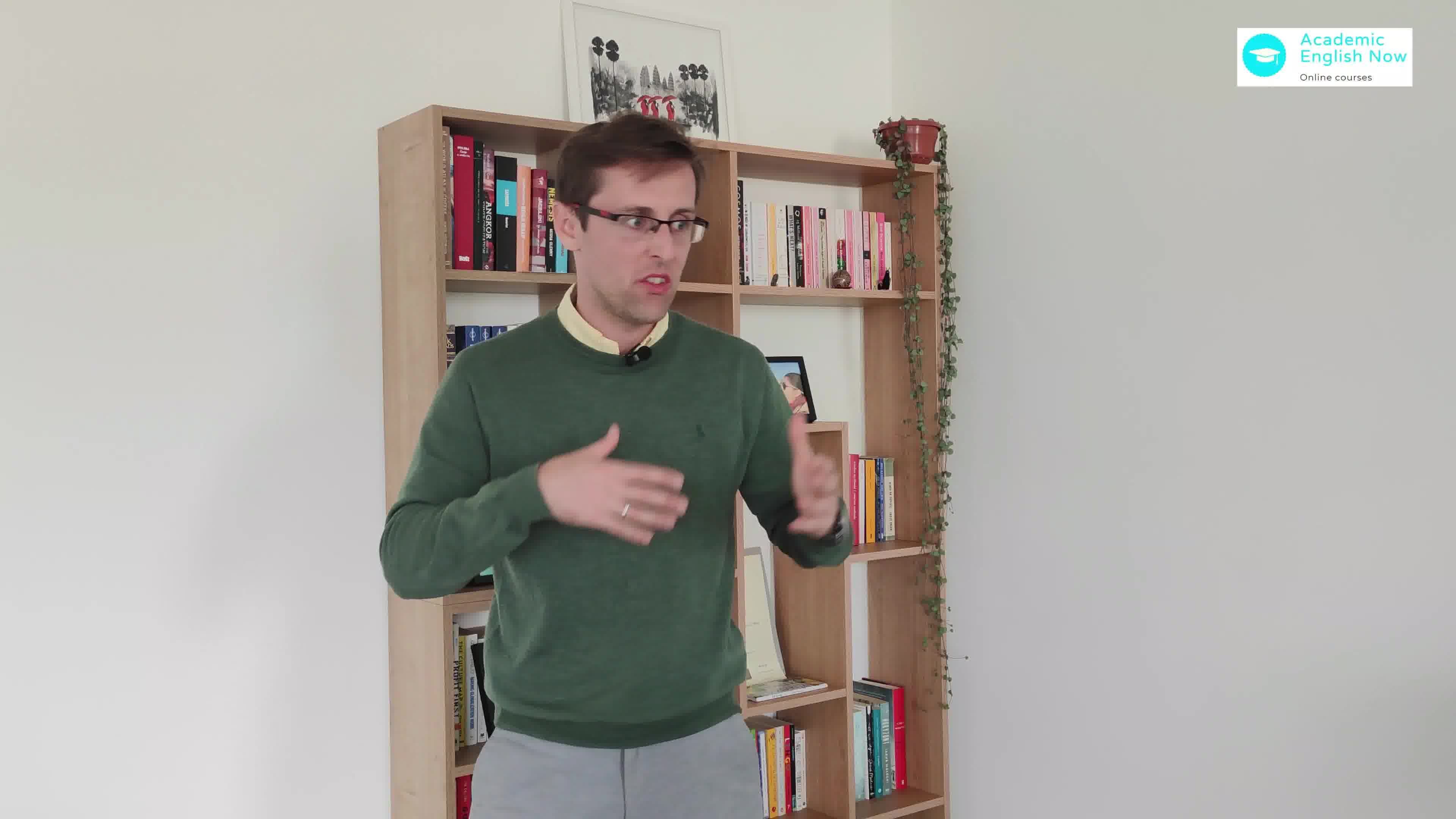 Academic English Now Facebook ad: If you didn't publish 3 papers last year, watch this.