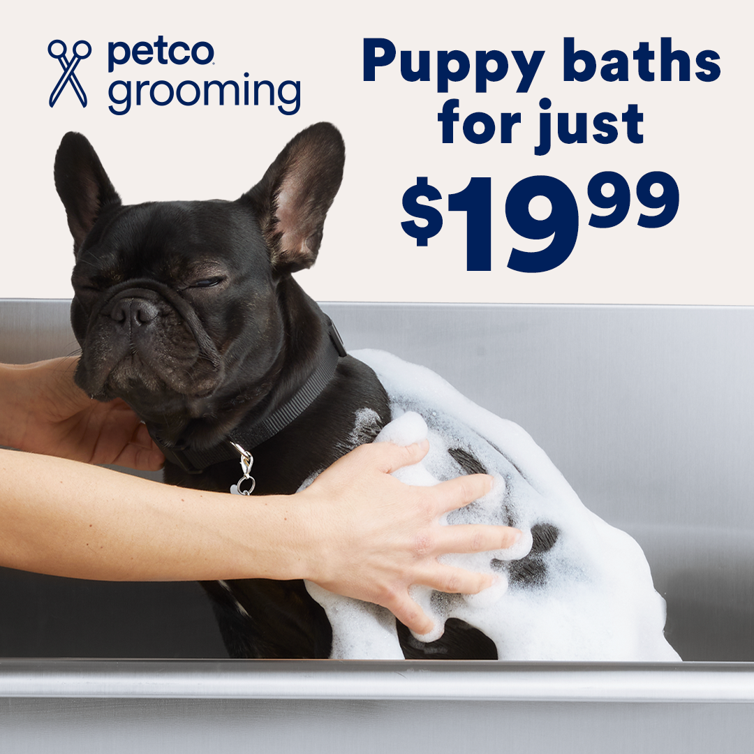 Petco Facebook ad: Puppy baths for just $19.99