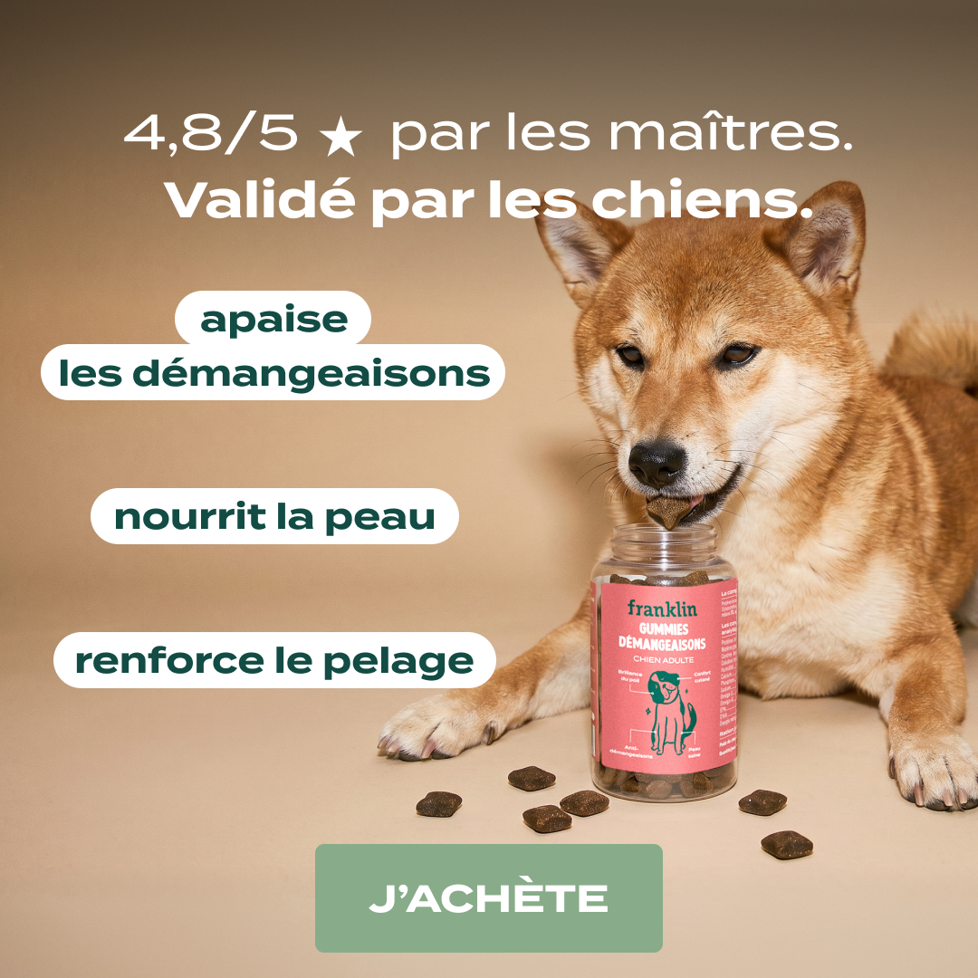 Franklin Pet Food Facebook ad