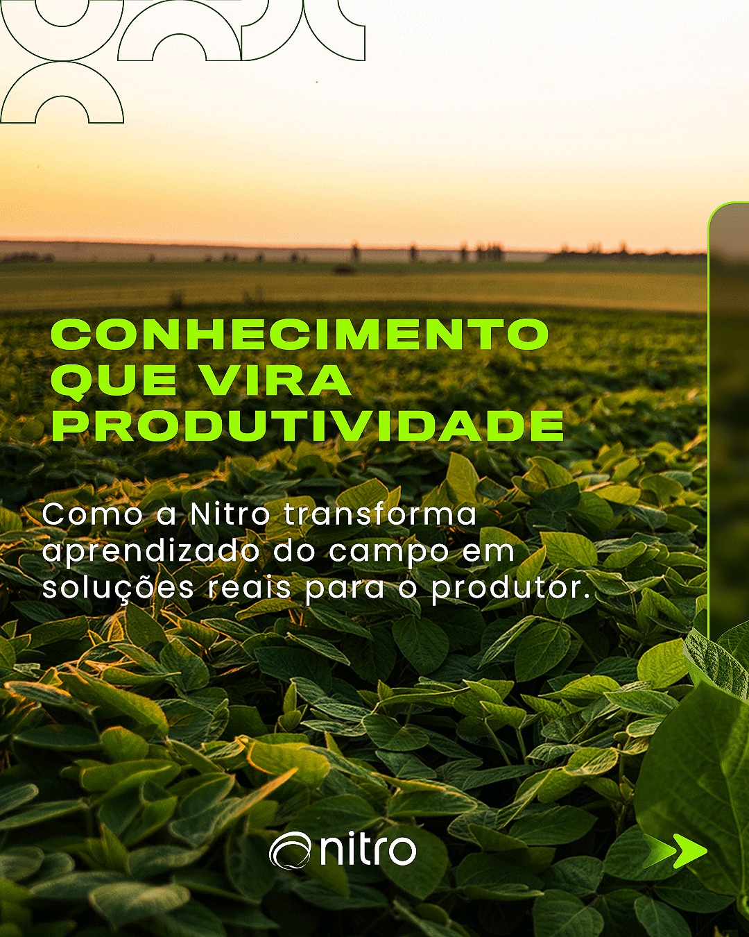 Nitro Agro Facebook ad: Conhecimento só gera valor quando é aplicado no…