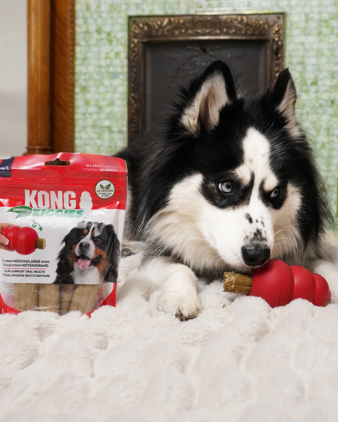 KONG Facebook ad