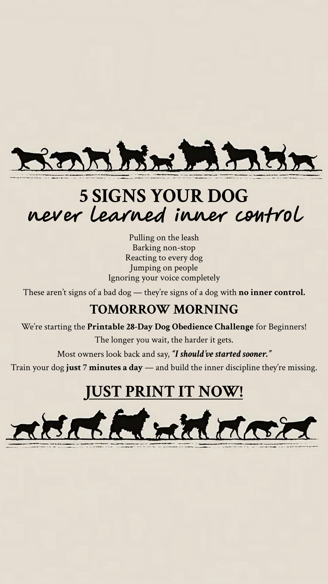 28 Day Dog Obedience Challenge Facebook ad