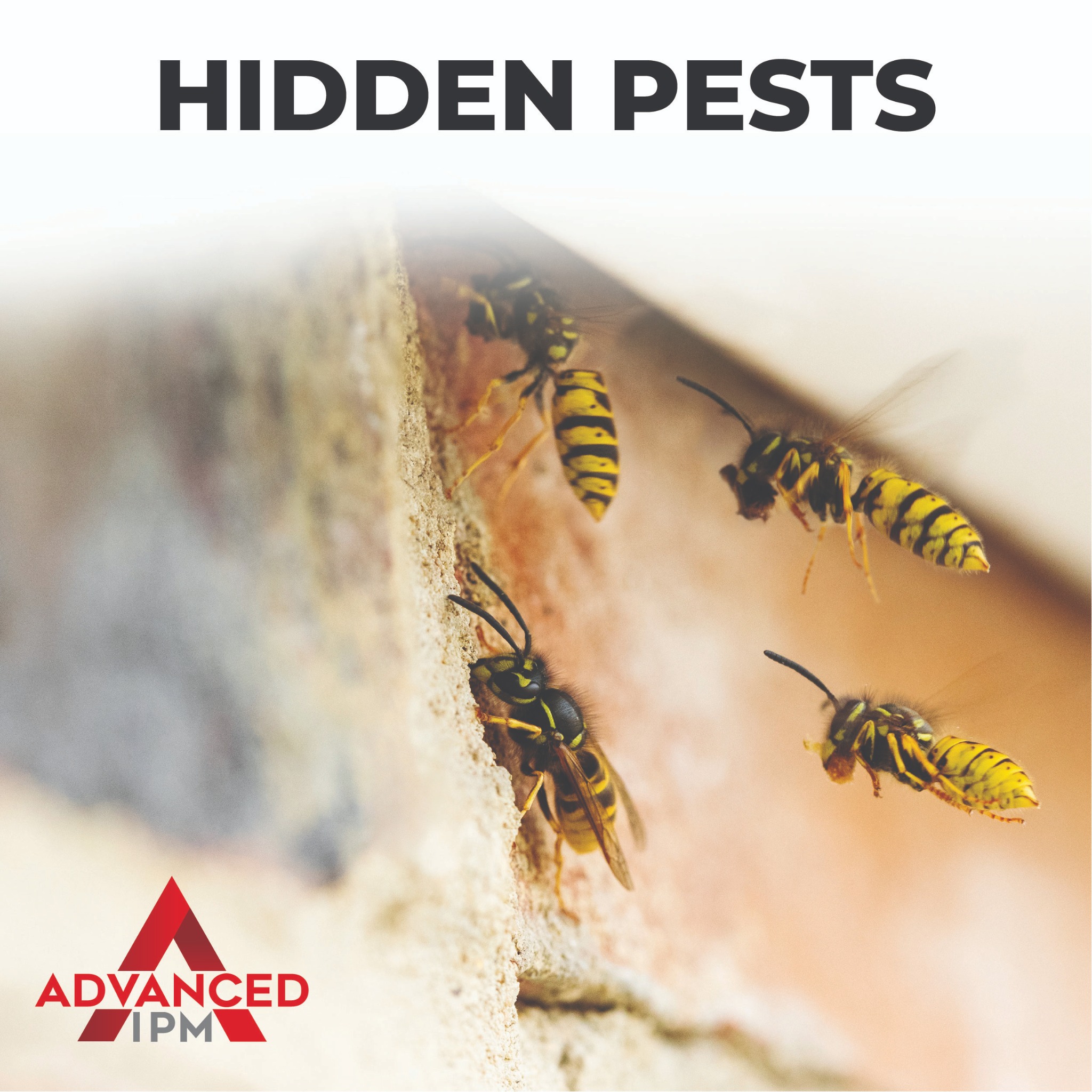 Advanced Integrated Pest Management Facebook ad from Jul 1, 2026