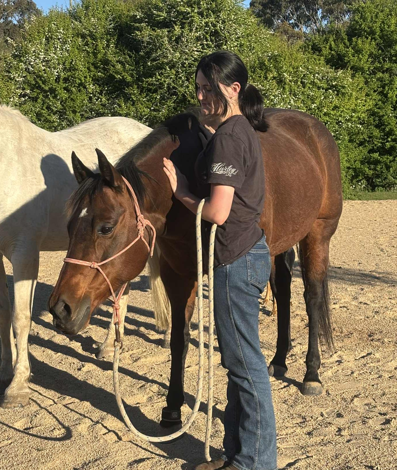 Equiphoria Equine Bodywork & Equine Business Coaching Facebook ad: Bodywork That Works! Full Equine Massage including Passive…
