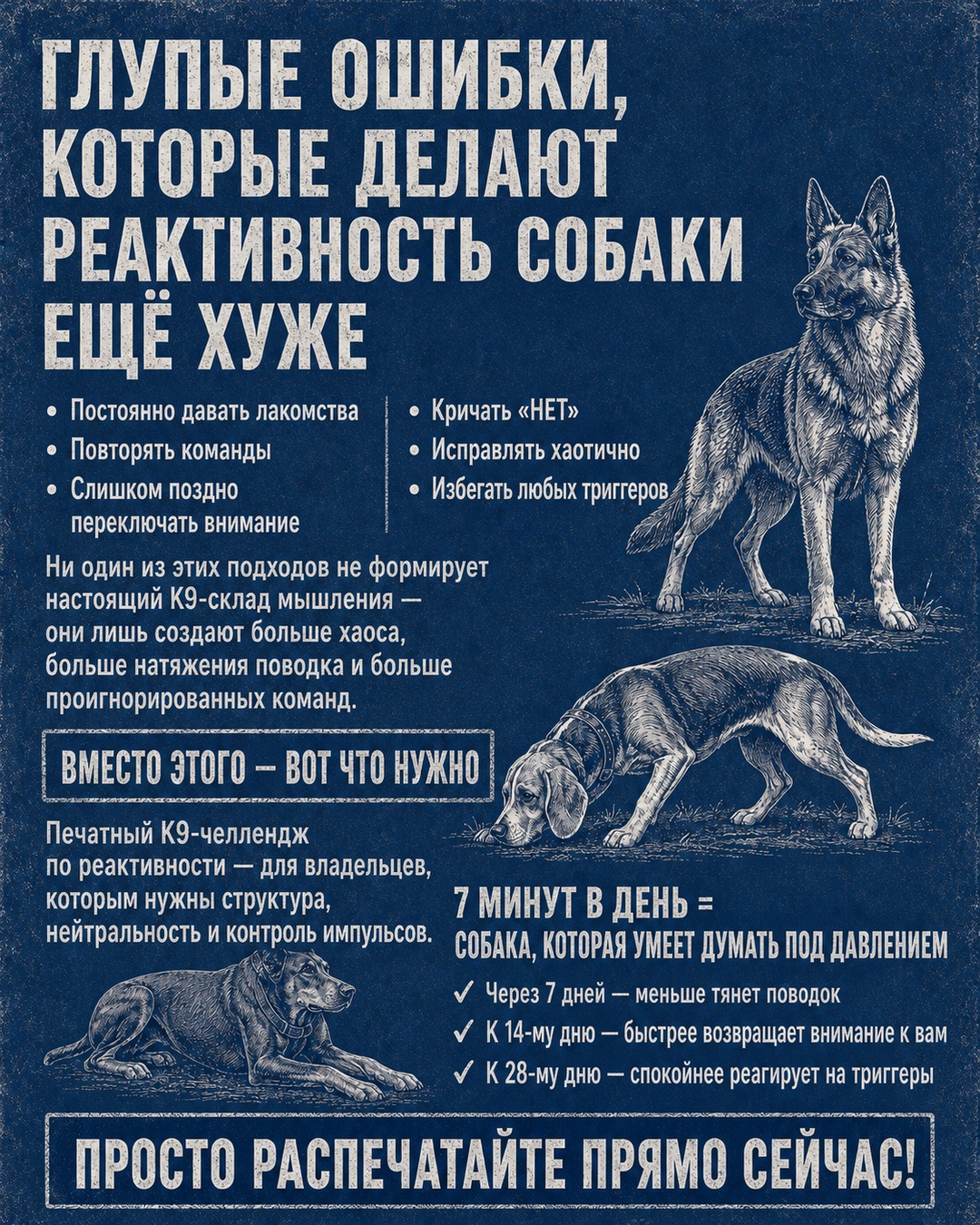 Reactive Dogs Club Facebook ad