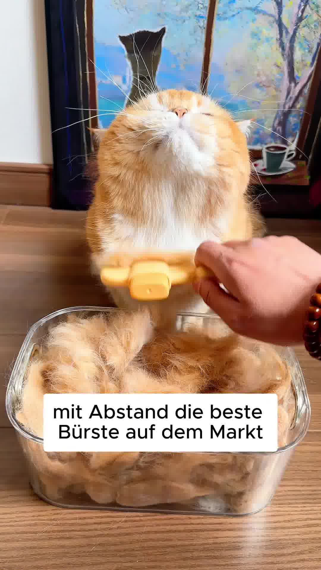 Pfotenmond.de Facebook ad: Für alle Felltypen geeignet