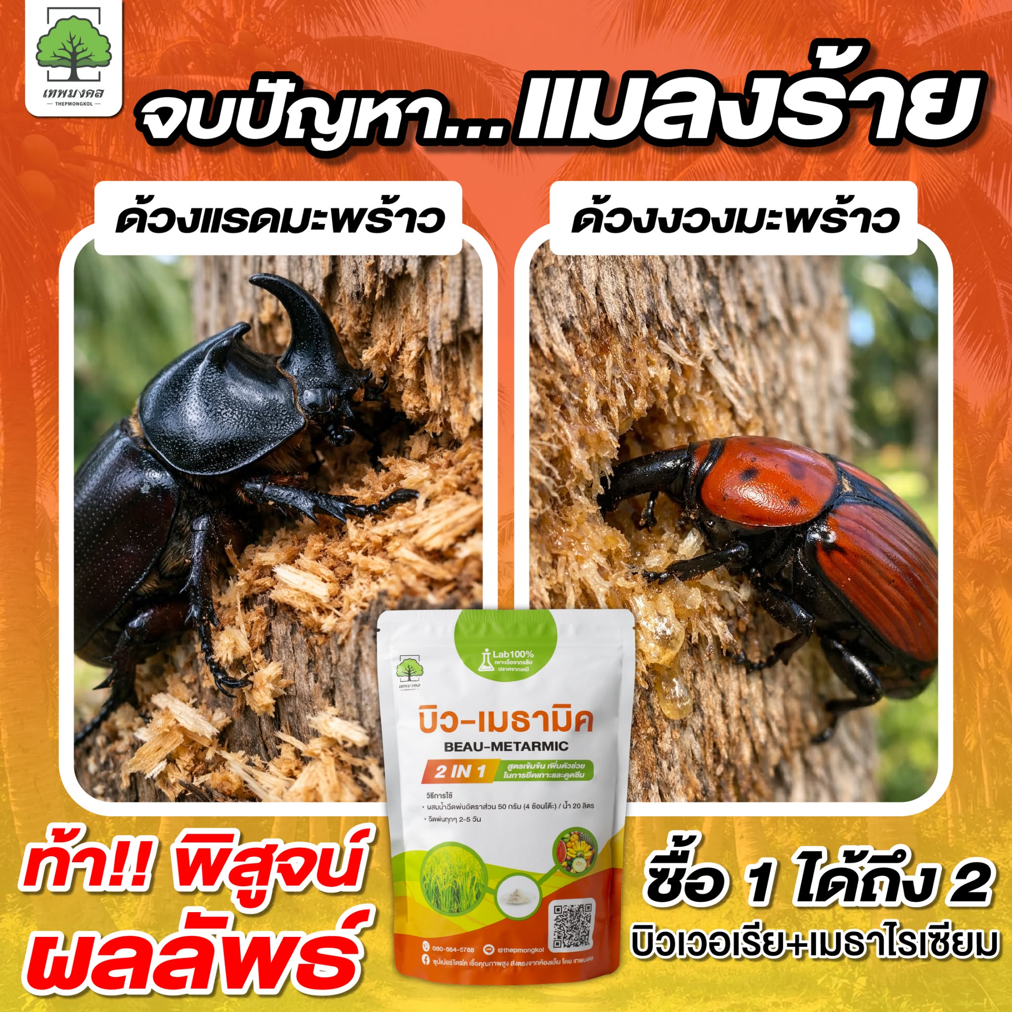 สินค้าการเกษตร เพื่อเกษตรกรไทย ตราเทพมงคล Facebook ad