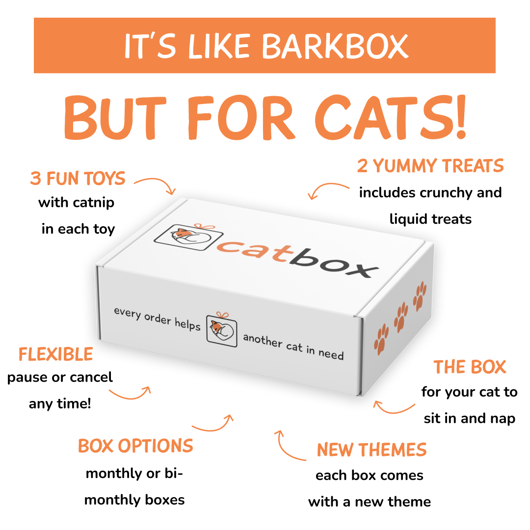 catbox Facebook ad