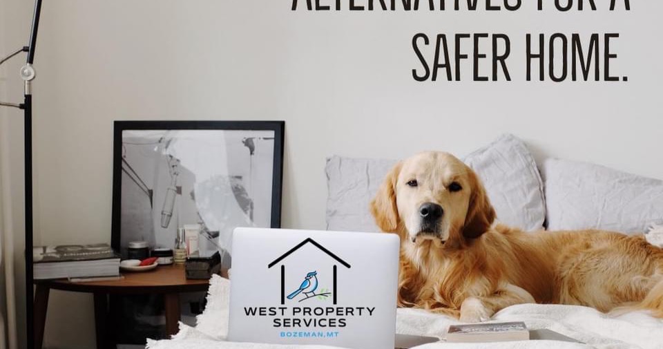 West property services LLC Facebook ad: Professional cleaning and housekeeping services