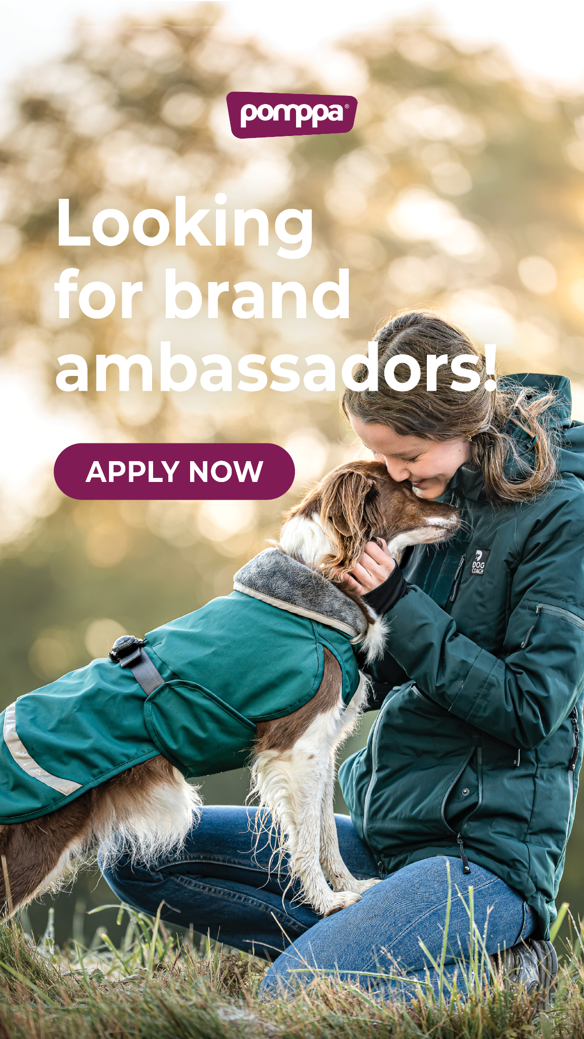 Pomppa Dogwear Facebook ad: The Pompassador search is on!