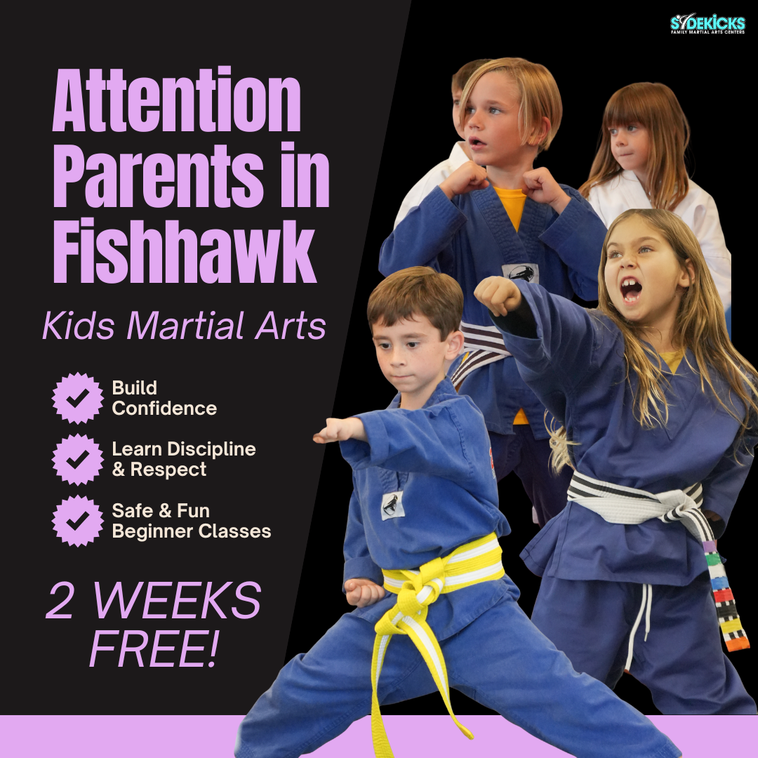 Sidekicks Family Martial Arts Center Facebook ad