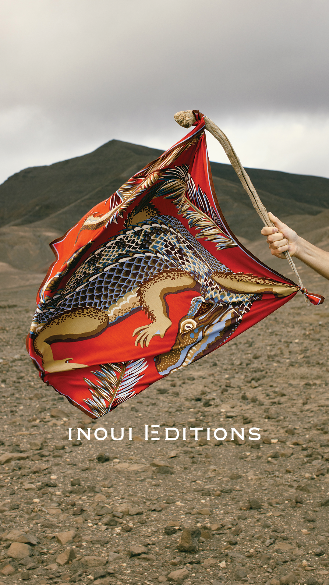 Inoui Editions Facebook ad