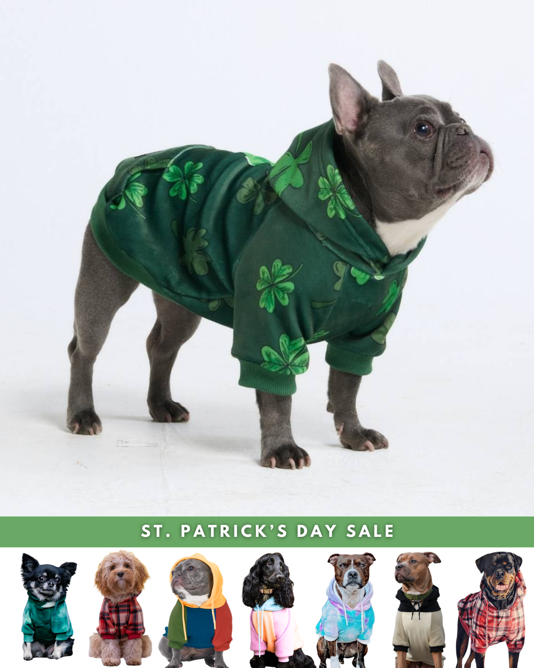 Spark Paws Facebook ad