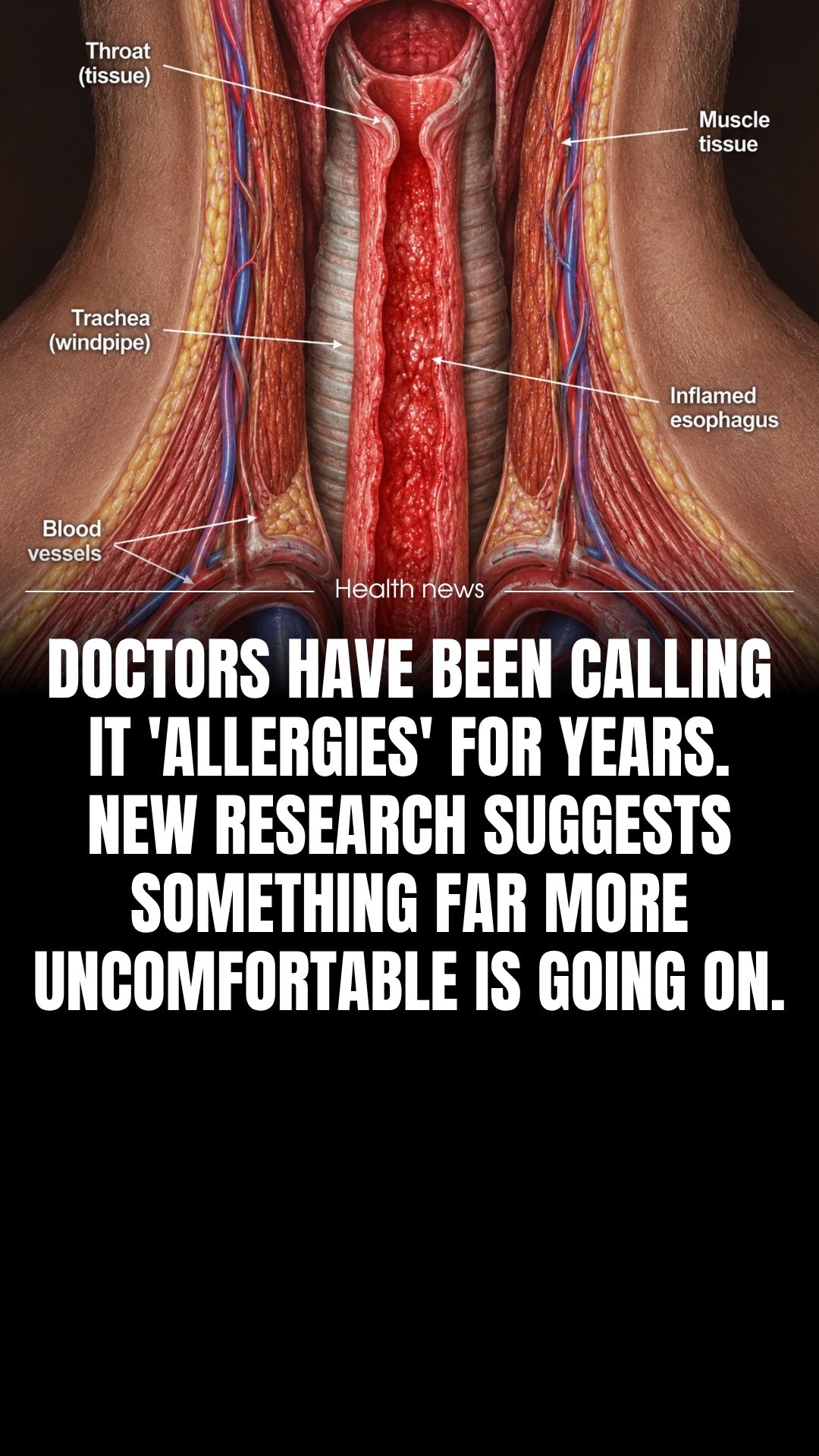 The Gut Lining Lab Facebook ad