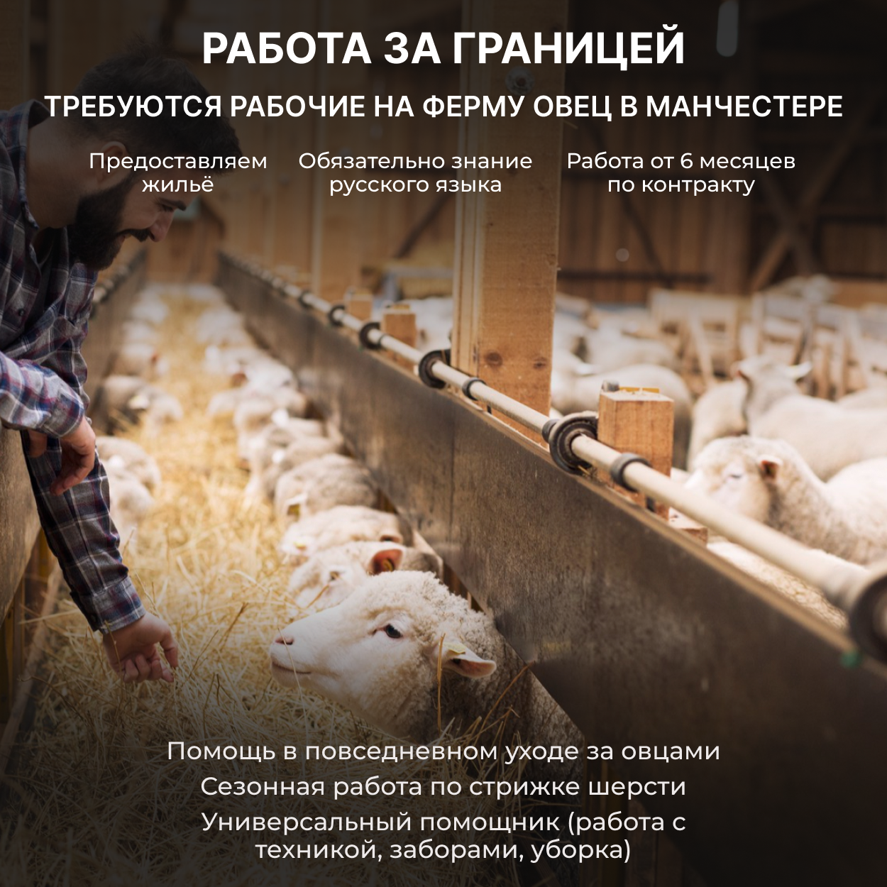Concept Group Facebook ad: Оставляй заявку по кнопке ниже!