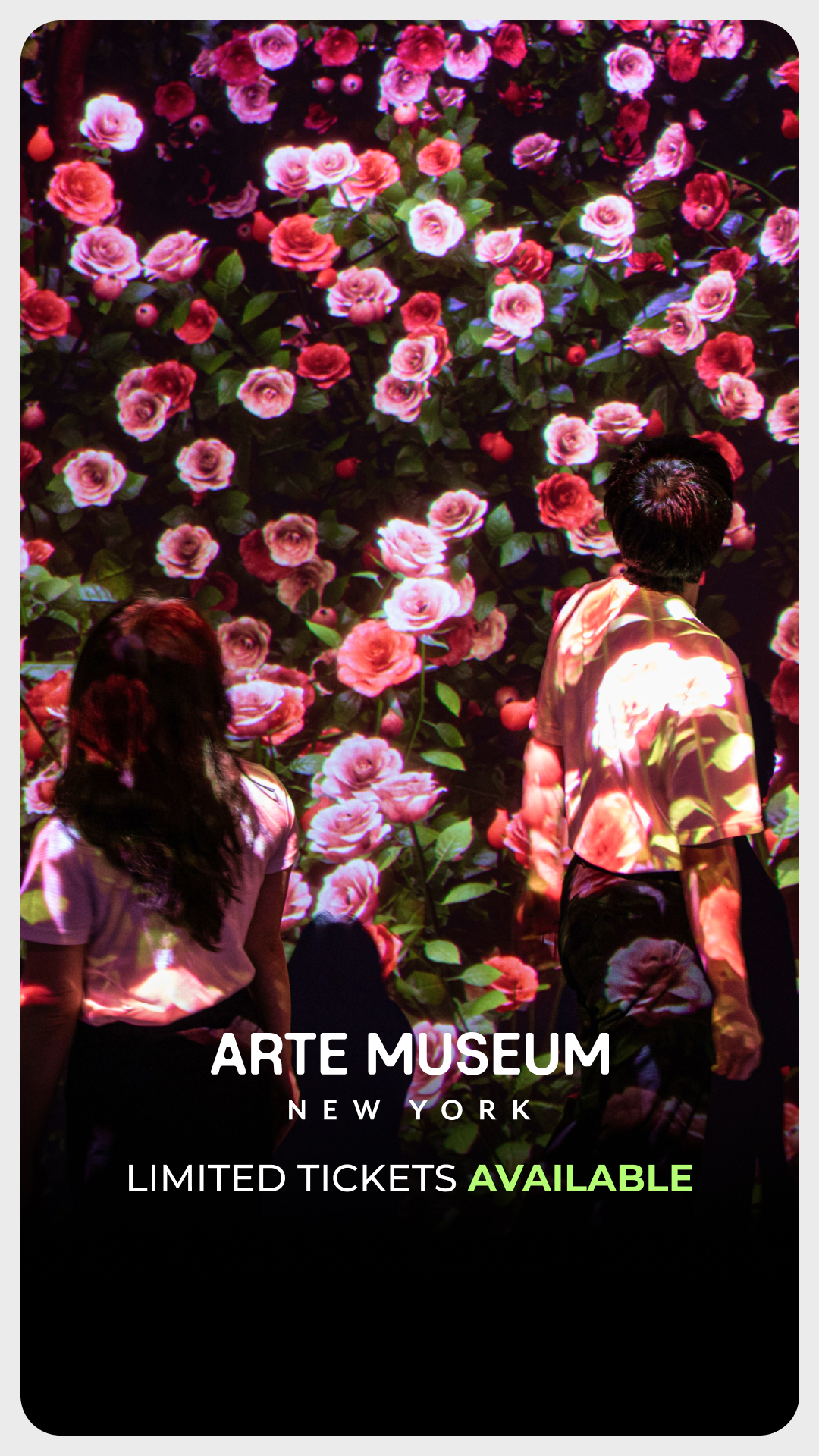 Arte Museum New York Facebook ad