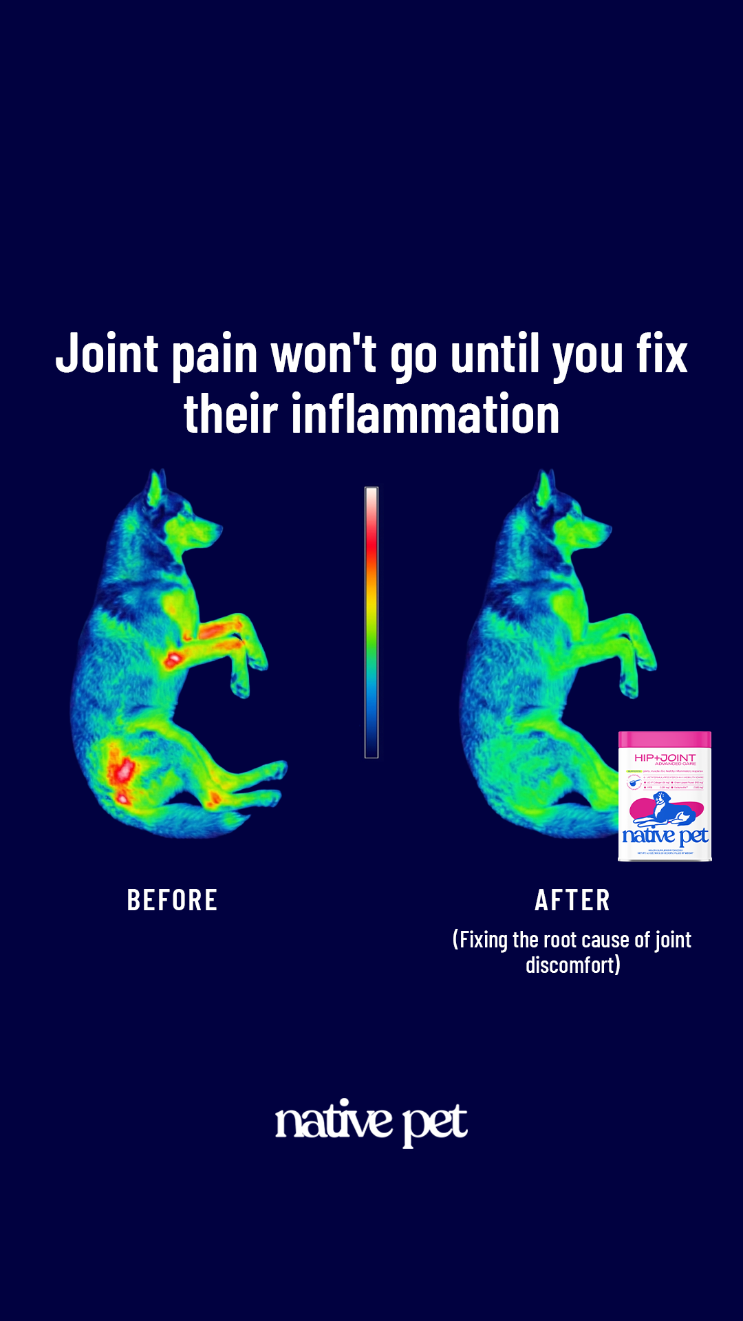 k9healthdaily Facebook ad from Mar 19, 2026