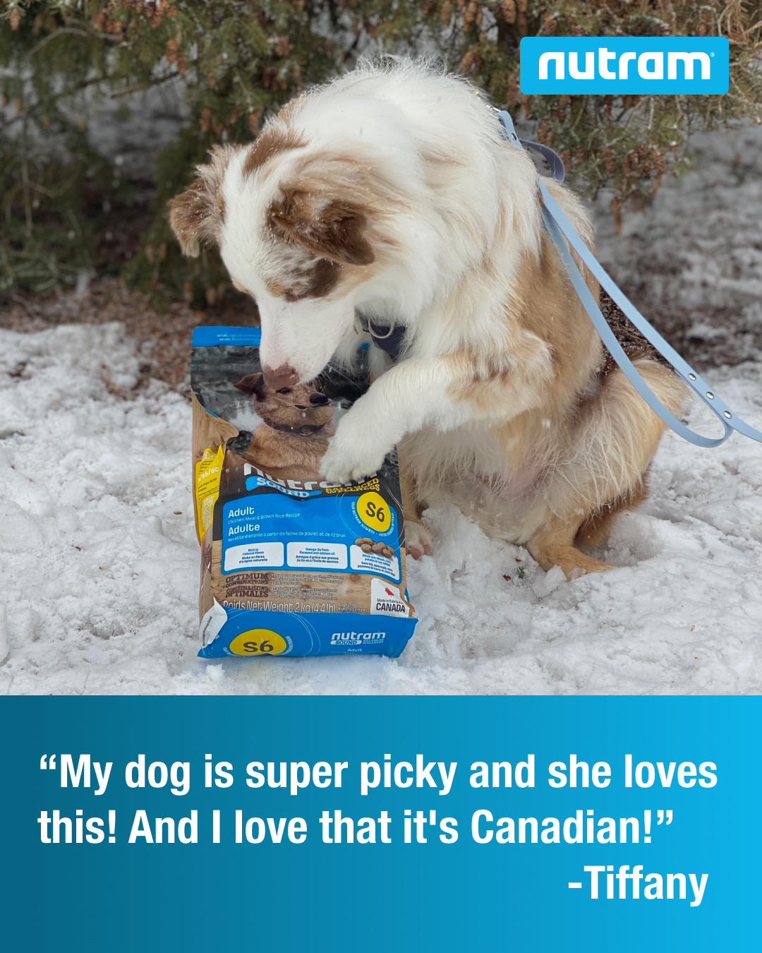 Nutram Pet Products Facebook ad