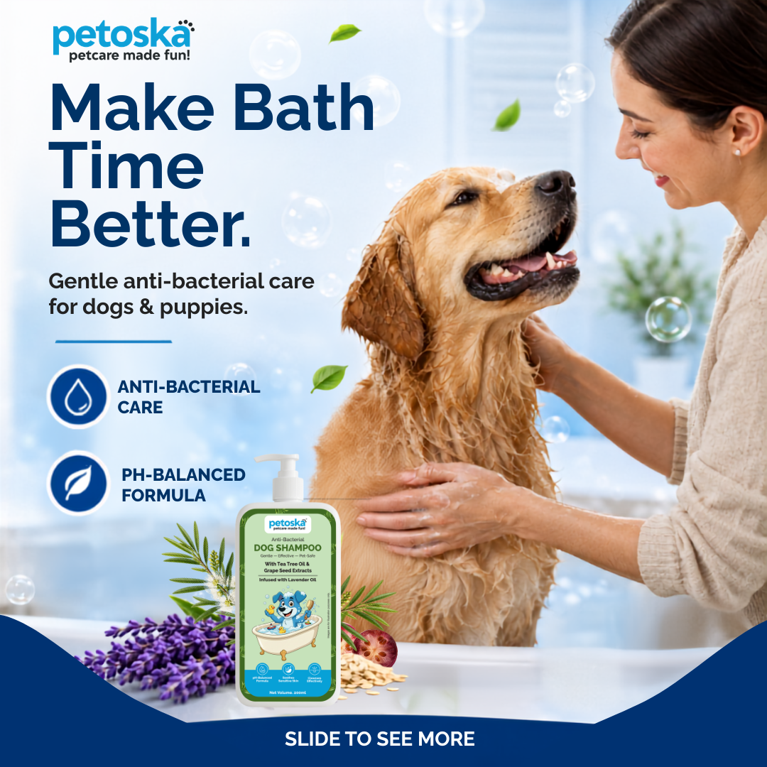 Petoska Facebook ad from Aug 6, 2026