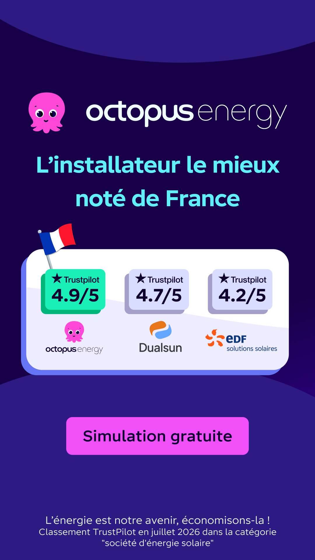 Octopus Energy Facebook ad