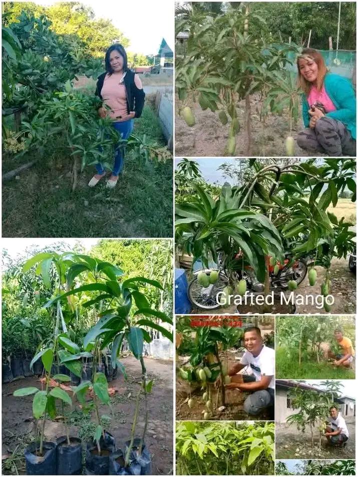 Nenita's Facebook ad: PTPA SLAMAT PO