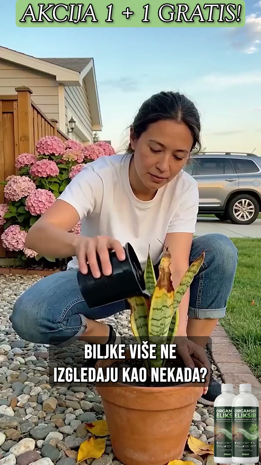 Sljokica Facebook ad: Ne kupujte novo cveće, spasite staro! (1+1 GRATIS)