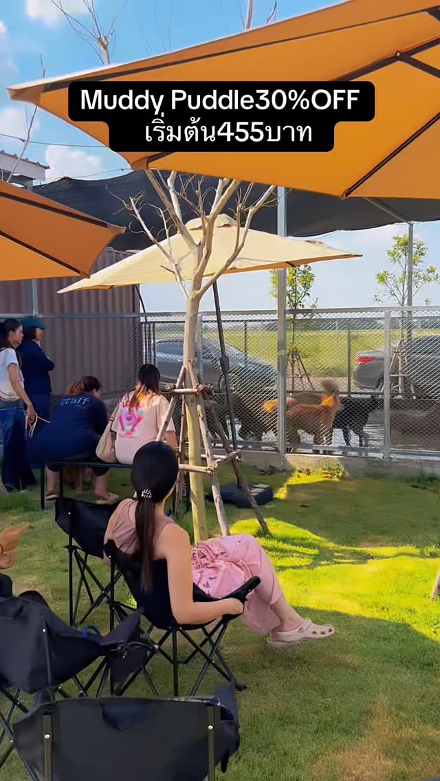 Pawtails PET HOUSE Facebook ad: พักสนุก เล่นเต็มที่ ที่ Pawtails Pet House